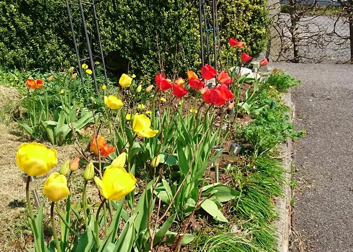 Апартаменты Utsiken *