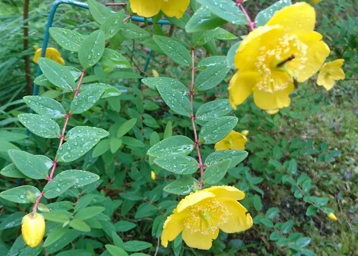 Utsiken * Берген